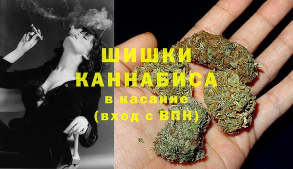 прущий лед Абаза
