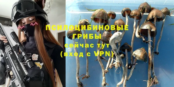 прущий лед Абаза