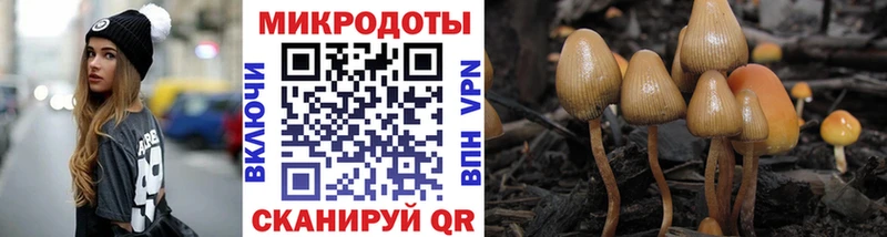 наркошоп  Чита  Псилоцибиновые грибы прущие грибы 